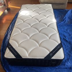Dreamcloud Classic Twin Mattress (ordered wrong size)