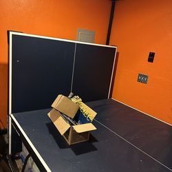 Ping Pong Table
