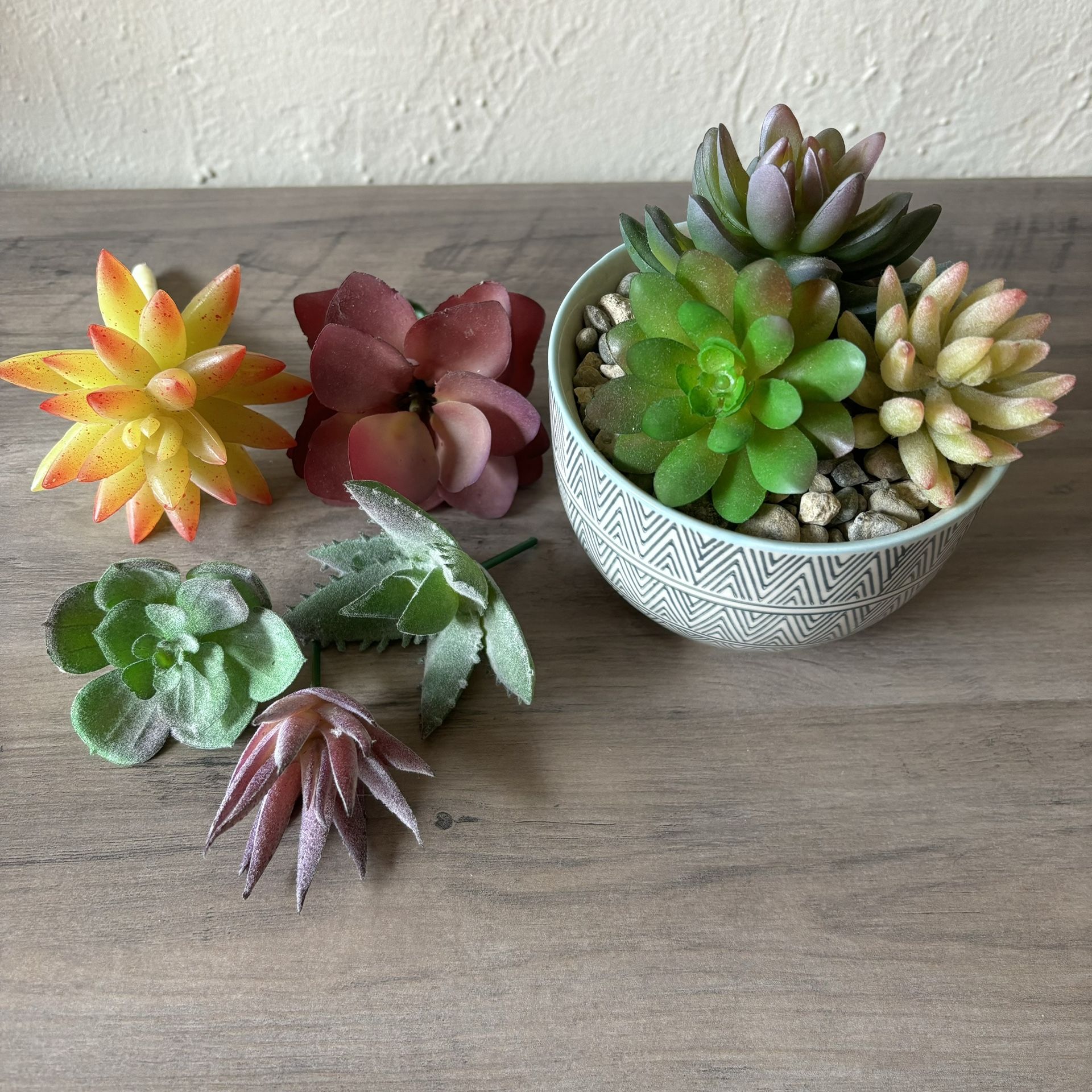 Faux Succulents 