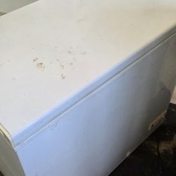 Garage Fridge And Deep Freezer