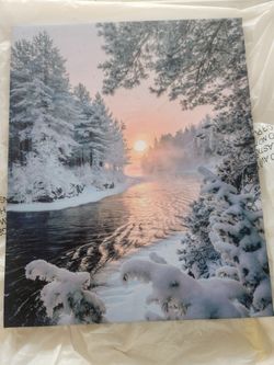Snowy landscape that lights up