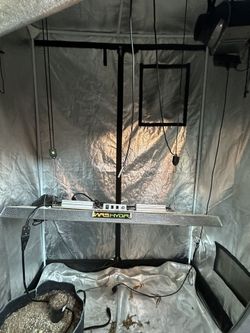 Full Growing Settup