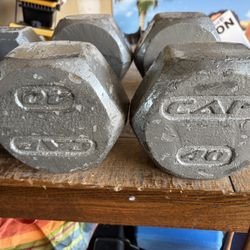 130 LBS Dumbbells 