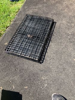 Dog Crate