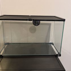 Reptile Aquarium 10gal