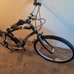 Schwin Cruiser.