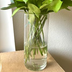 2 Glass Vases For Flowers, 1 In Light Brown, 1 In Clear 