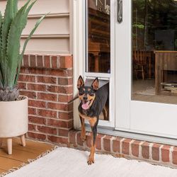 Pet safe doggie door