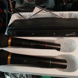Brand New Dual Wireless Mic System. 