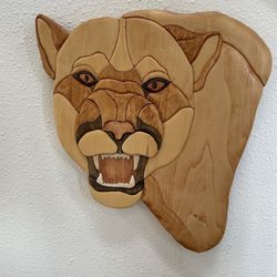 WSU / Cougar Picture Lot