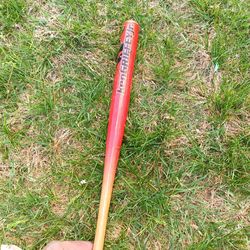 Ken griffy jr miniature bat