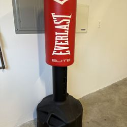 Everlast Home Boxing Bag