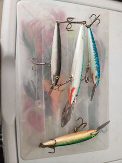 Trolling feathers  Surface irons  Trolling jigs