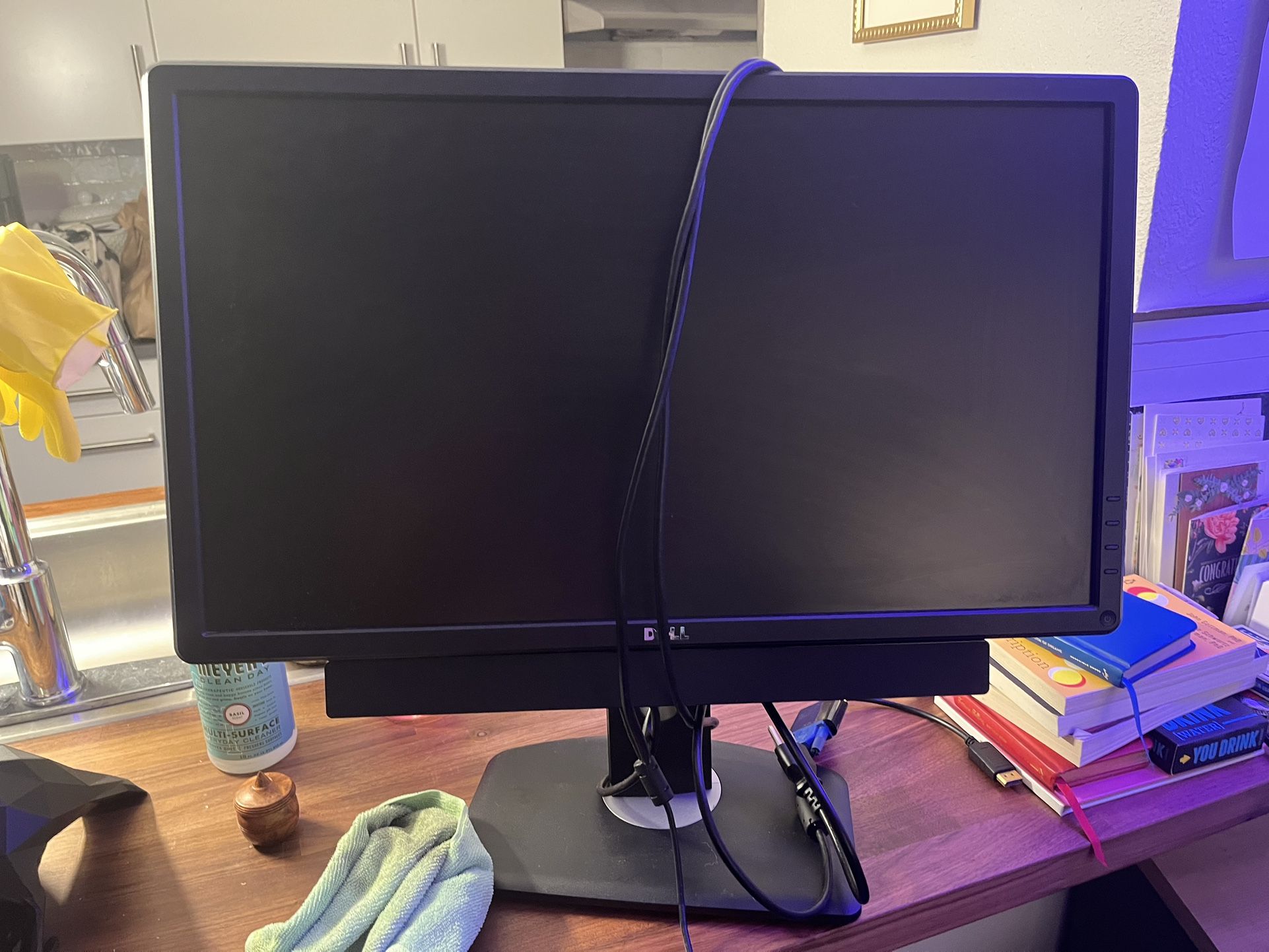 Dell 25” Computer Monitor