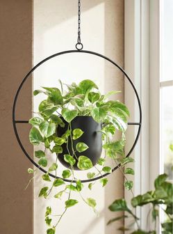 Black Hanging Planter