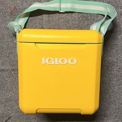 Igloo Ice Chest cooler