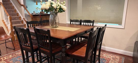 Set of 8 chairs and one high table
