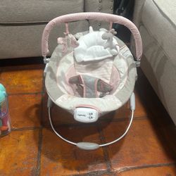 Baby Bouncer