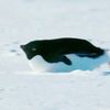 Jugga