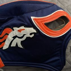 Denver Broncos. Luchadores Mask (Great Costume)$26