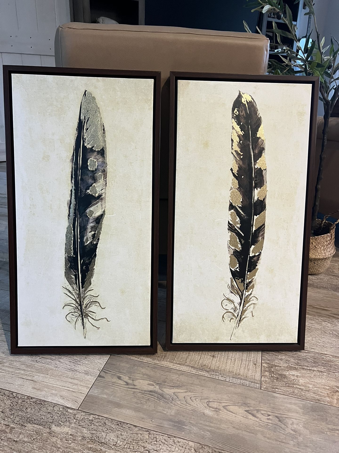 Framed Feather Paintings