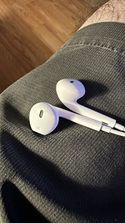 Apple Earphones From My iPhone 14 Pro. Works Perfectly