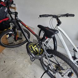 Schwinn Men's Gear Bike