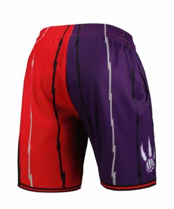 Toronto Raptors Mitchell & Ness Shorts