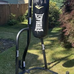Everlast Punching Bag and Frame 