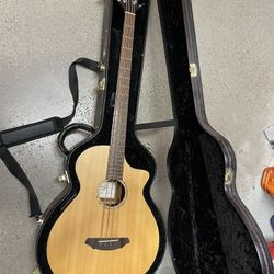 Acoustic Bass Guitar