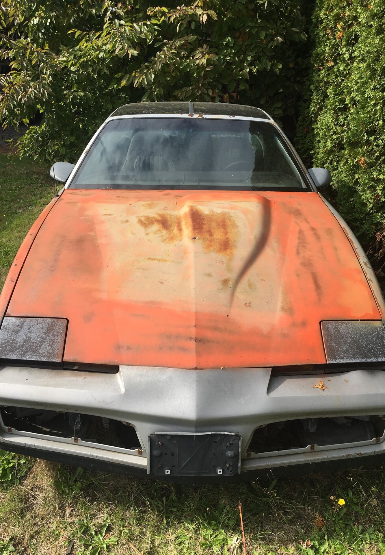 1982 Pontiac Firebird