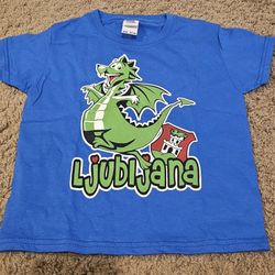 NEW Toddler Dragon T-shirt 