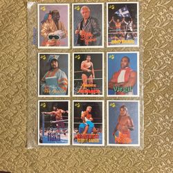 WOW  🔥 VINTAGE CLASSIC 1990 Wrestling WWF Card Lot#5 With Andre The Giant All For $3 Firm 