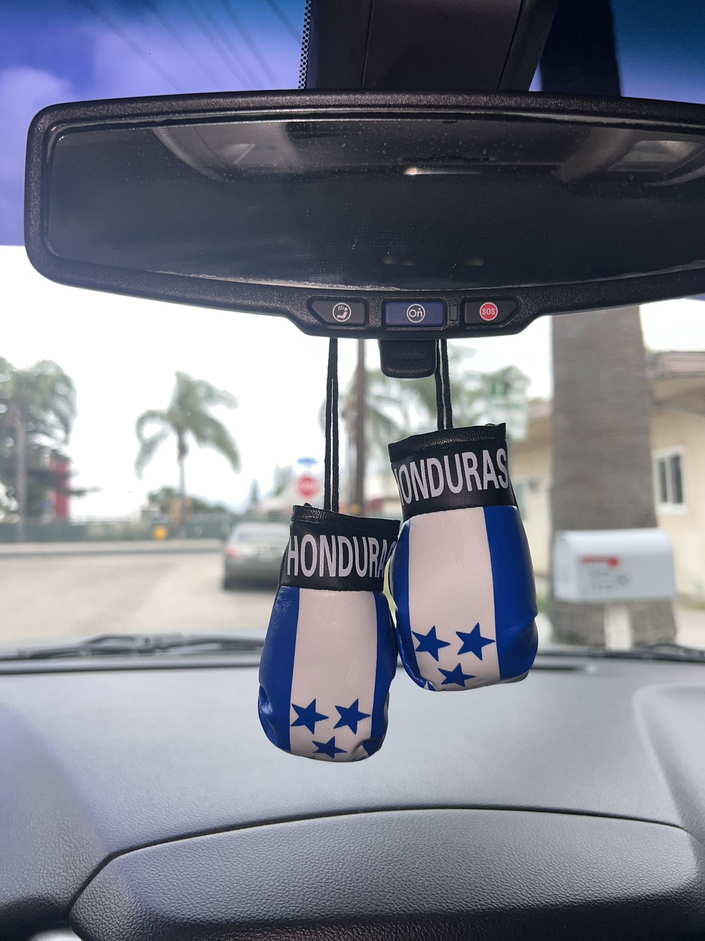 Honduras Mini Car Boxing Gloves