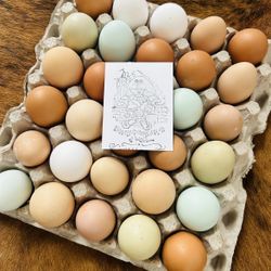 Organic Free Range Eggs