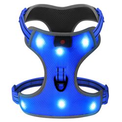 Dog Harness 