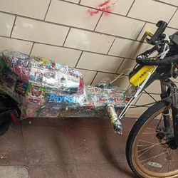 Custom Built Half Bike Half Scooter
