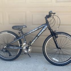 Trek MT220 Mountain Bike