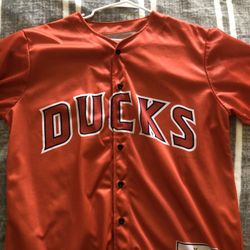 Anaheim Ducks 