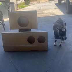 Subwoofer Boxes 