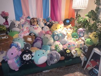 Squishmallow Collection 24 Random