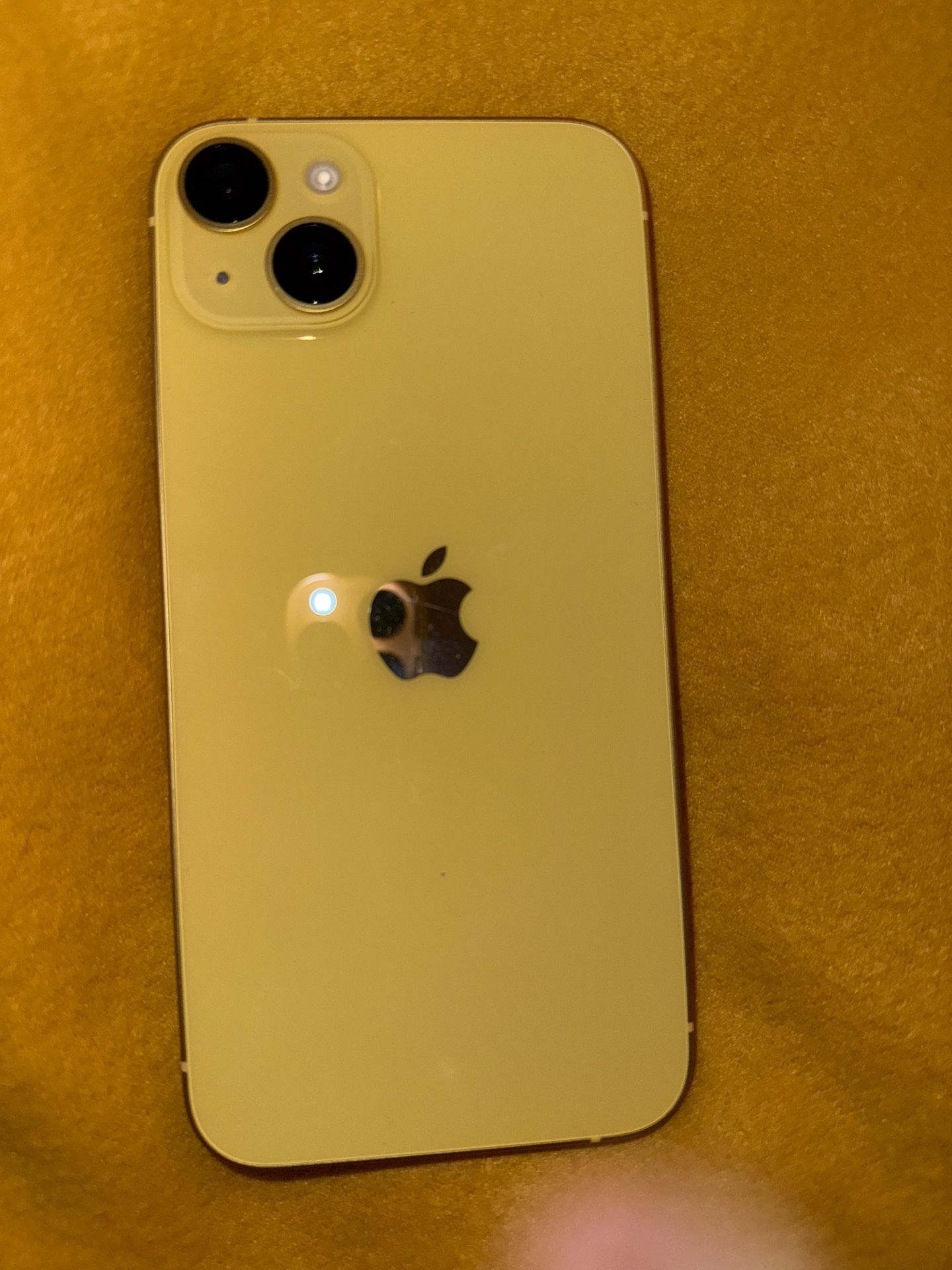 iPhone 14 Plus