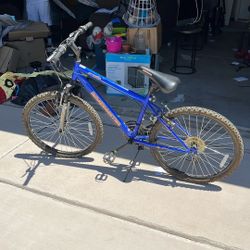 medium sized Bicycle 