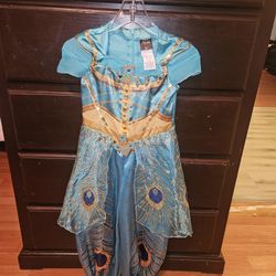 Disney Princess Jasmine  Dress