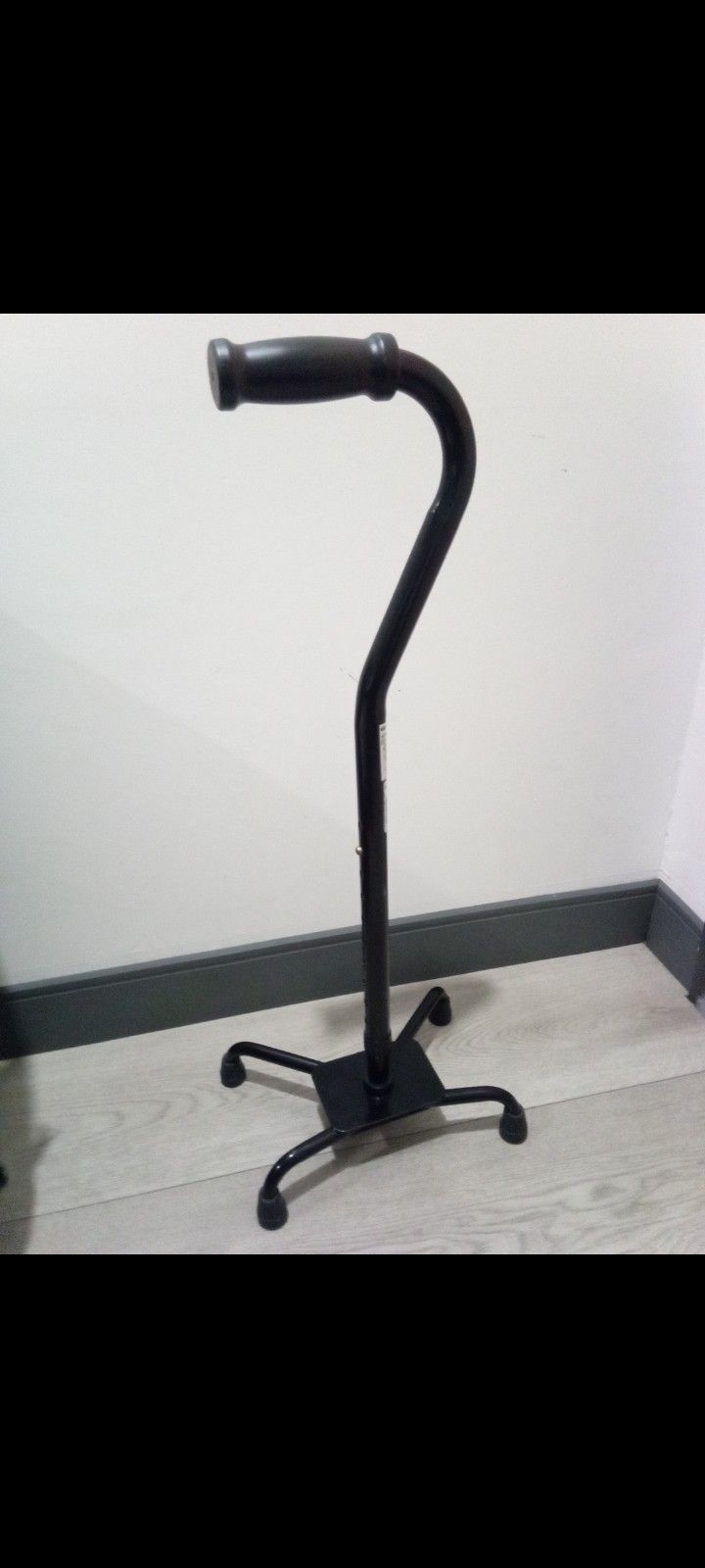 Walking Cain For Sale 