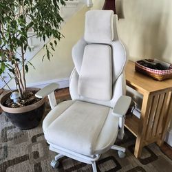 Ergonomic Office Chair [RS Gaming, Saphina]