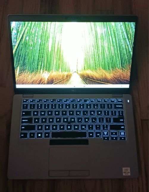 Touchscreen Dell Latitude Laptop Intel Core i5-10310u 16 GB RAM 256 GB SSD Webcam 1080P LCD USB C Thunderbolt Port Windows 11 Professional