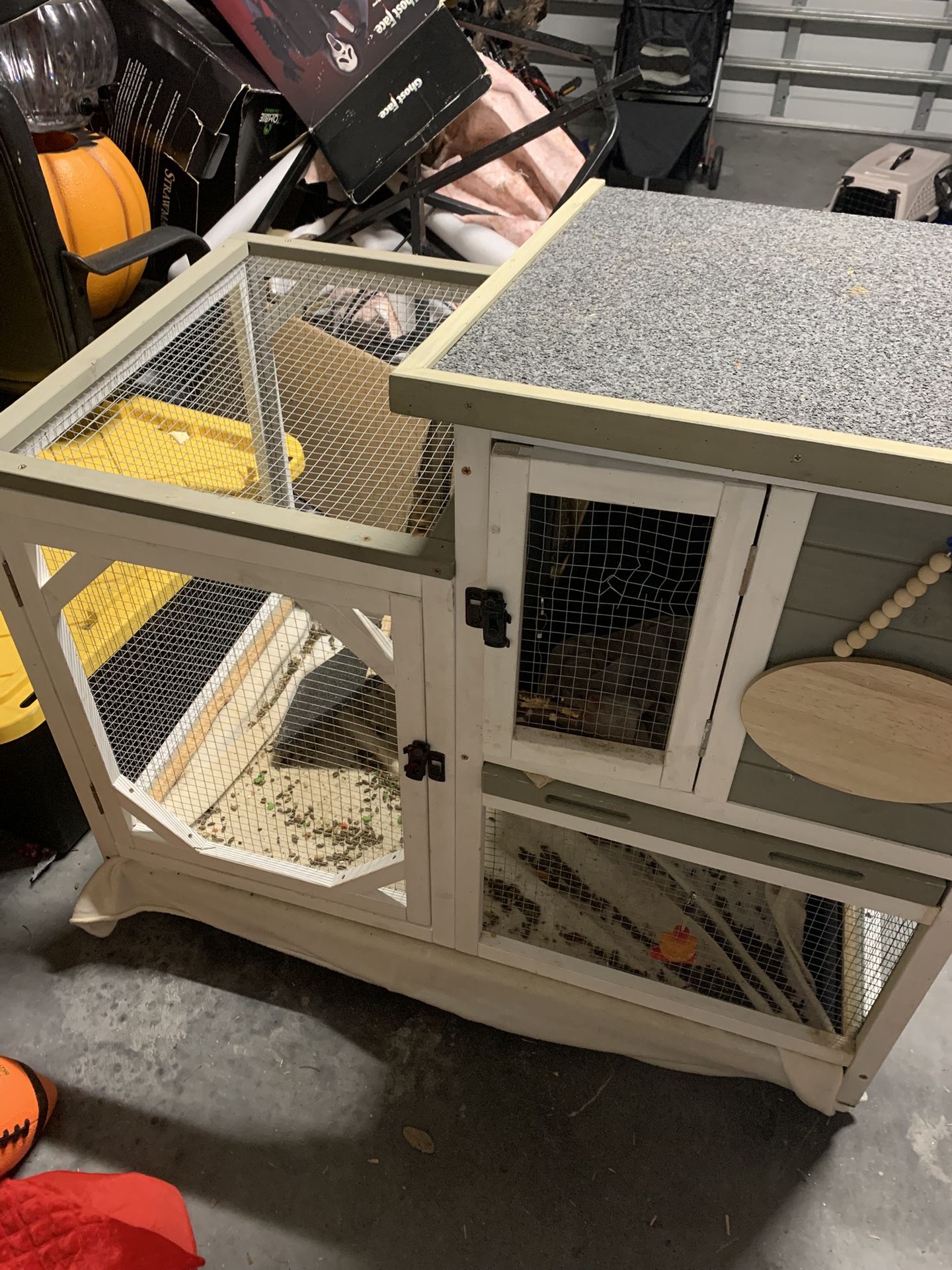 modern guinea pig cage top opens for easy access
