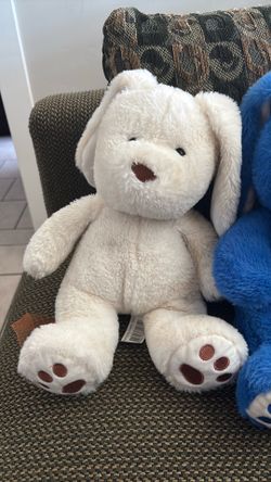 White bunny