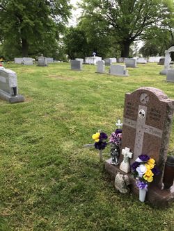 Two Cemetery Plots For Sale